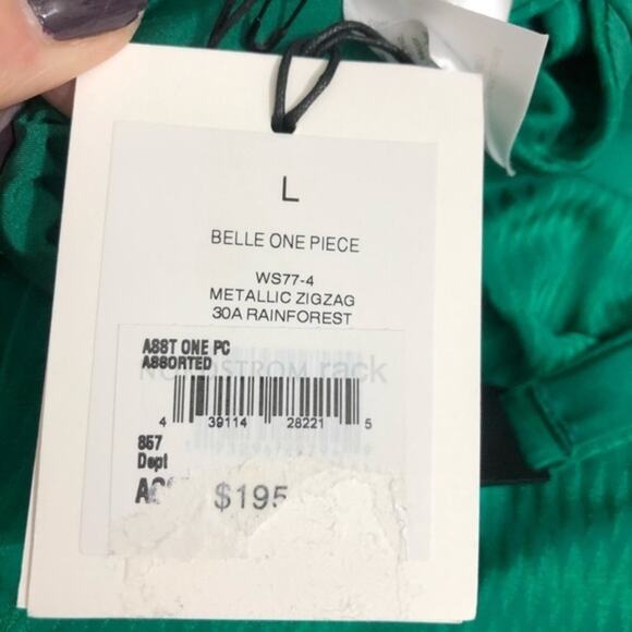 Onia Belle Rainforest Green Metallic Zig Zag One Piece Swim Suit Size Large NWT - Picture 8 of 9